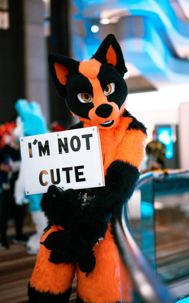 Suka wears an orange and black fursuit and holds an "I'M NOT CUTE" sign